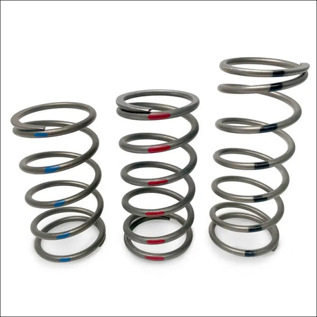 TAPP Primary Clutch Springs - Clutching